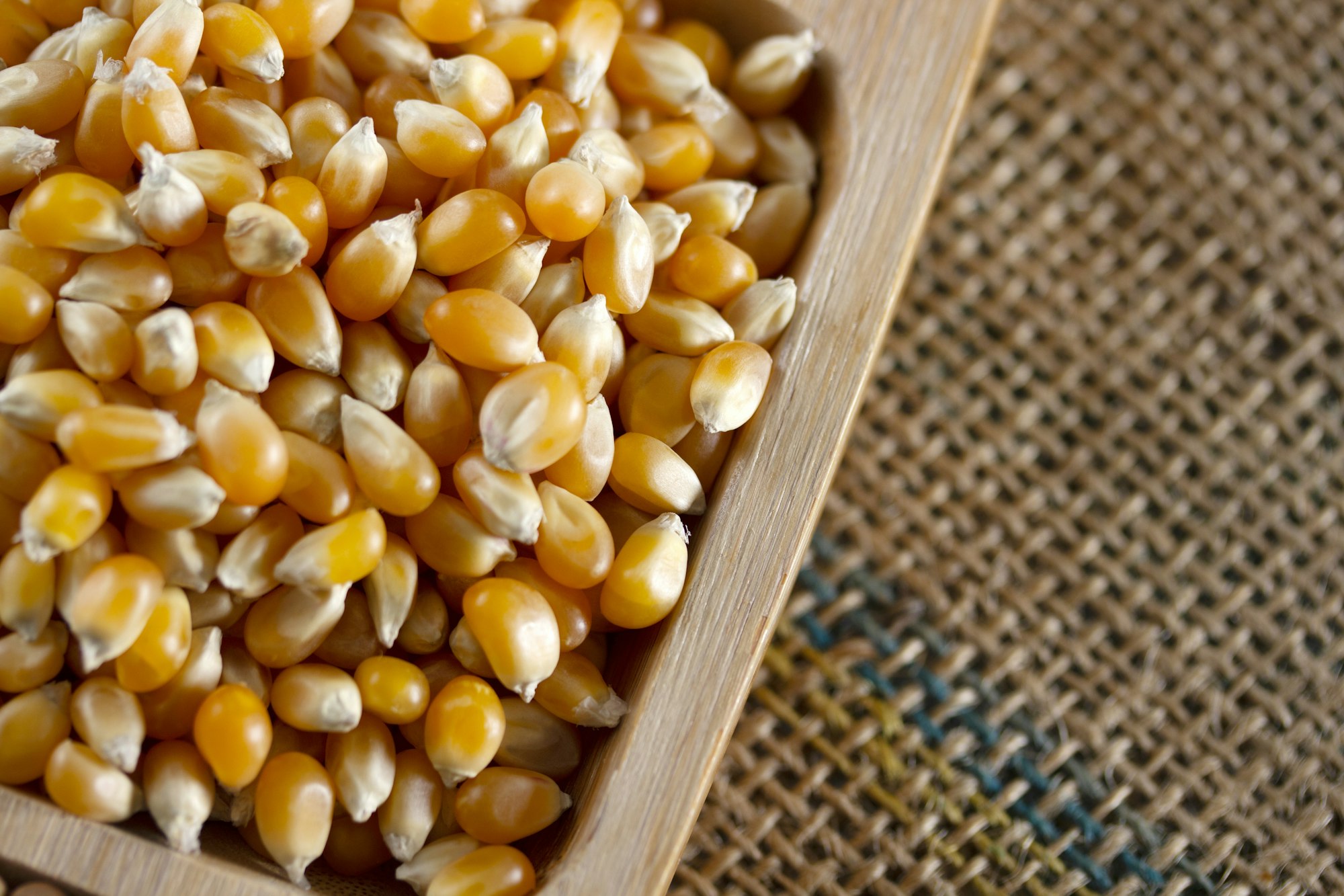 Corn kernels in a bowl