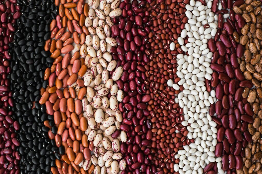 Different varieties of bean seeds. Beans background.